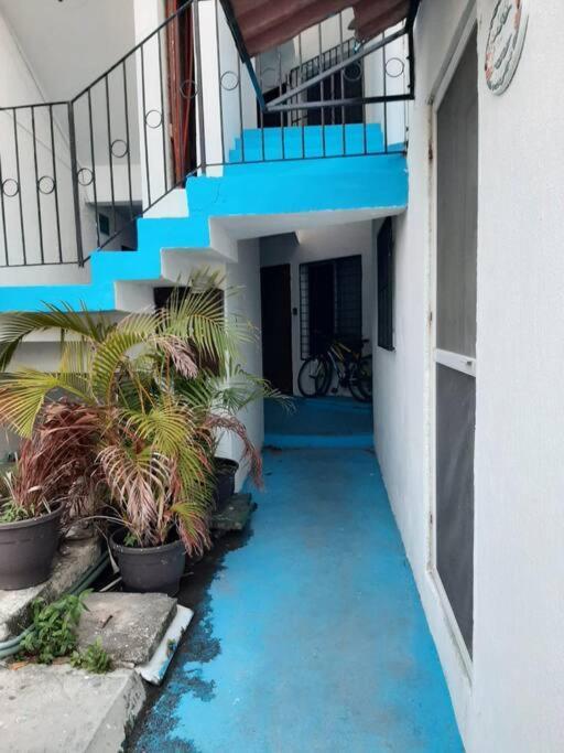 Departamento En El Corazon De * Cozumel